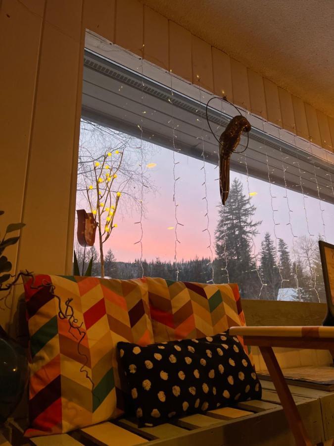 The Messy Owl Inn & Eco Haven Likely Екстериор снимка