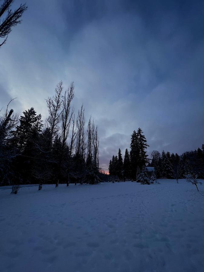 The Messy Owl Inn & Eco Haven Likely Екстериор снимка
