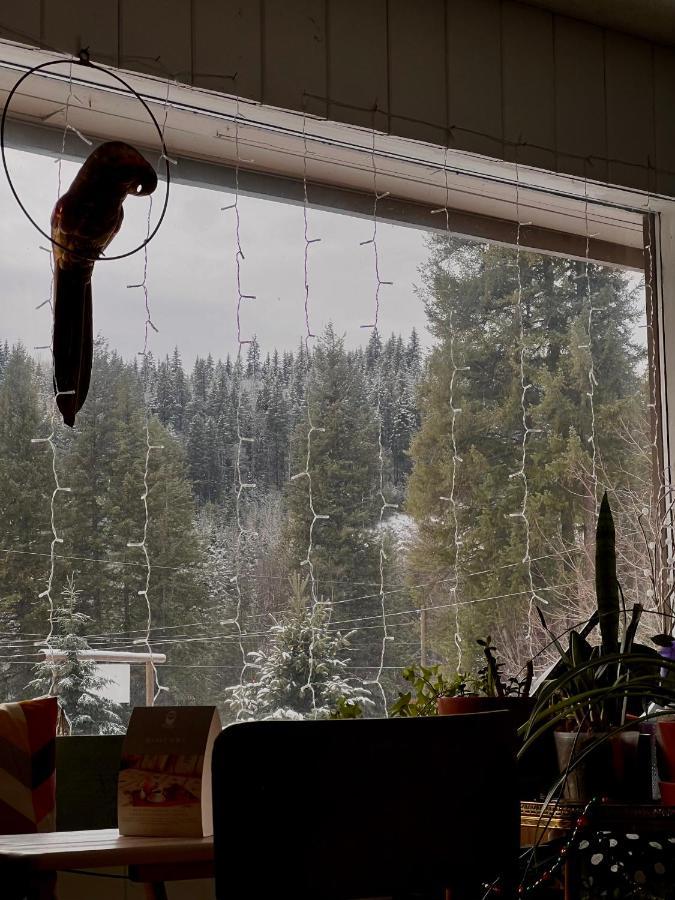 The Messy Owl Inn & Eco Haven Likely Екстериор снимка