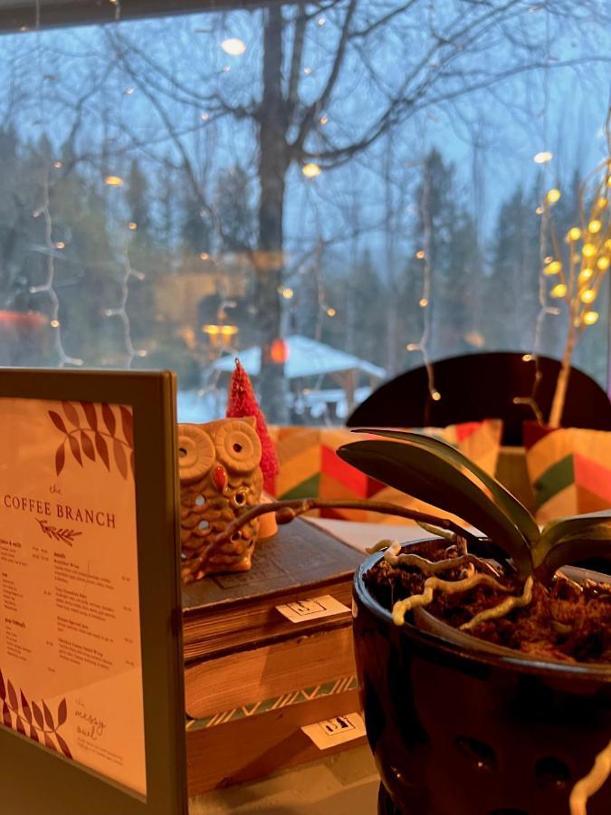 The Messy Owl Inn & Eco Haven Likely Екстериор снимка